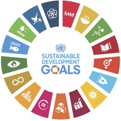 The Universities and the SDGs