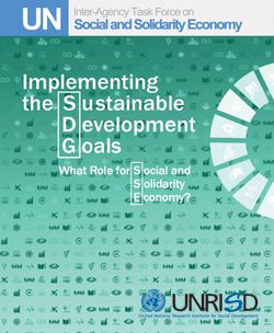Implementing the Sustainable Development Goals: What Role for Social and Solidarity Economy?