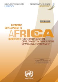 Fostering Industrial Development in Africa in the New Global Environment